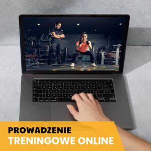 Indywidualne Prowadzenie Online