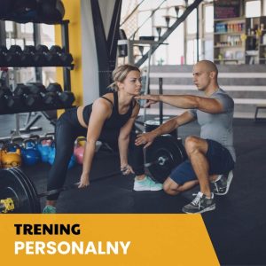 Indywidualne Prowadzenie Stacjonarne