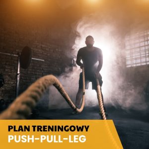 Plan treningowy Push-Pull-Leg